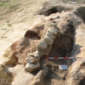 3000 anni fa a Montelupone. Dalla terra il passato che riemerge