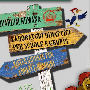 Didattica in museo e visite guidate 2019 - Antiquarium statale di Numana (AN)